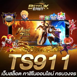 TS911