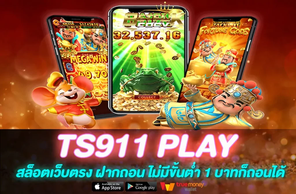 TS911 PLAY