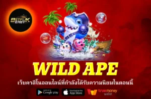 WILD APE 222