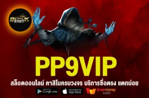 PP9VIP
