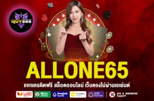 ALLONE65