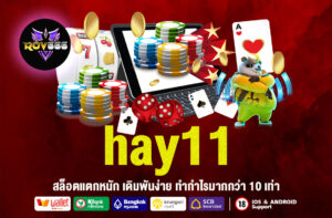 hay11