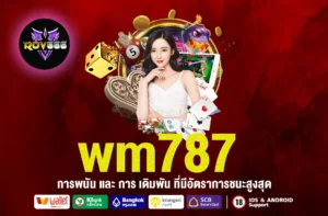 wm787