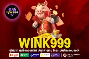 wink999