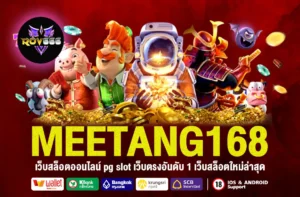 Meetang168